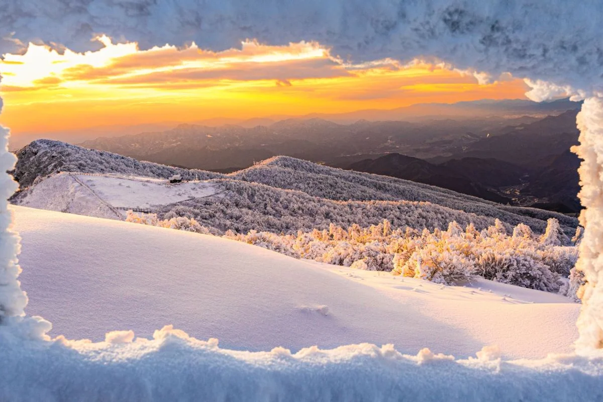 2월 수원 가볼만한곳 (출처 : 한국관광공사)