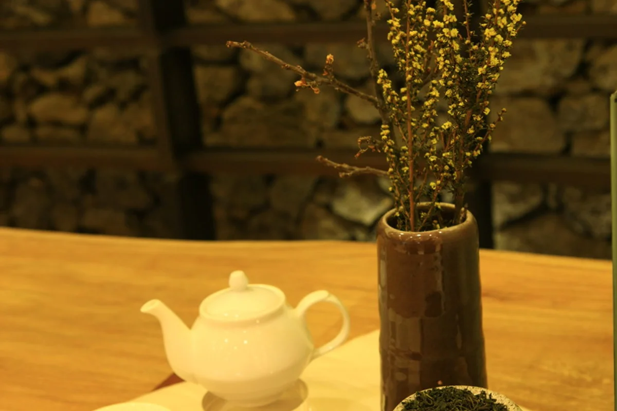 오설록 티 뮤지엄 - 제주여행 여행