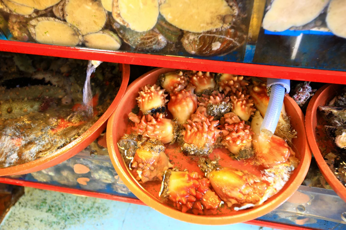 자갈치시장 - 부산타워 여행