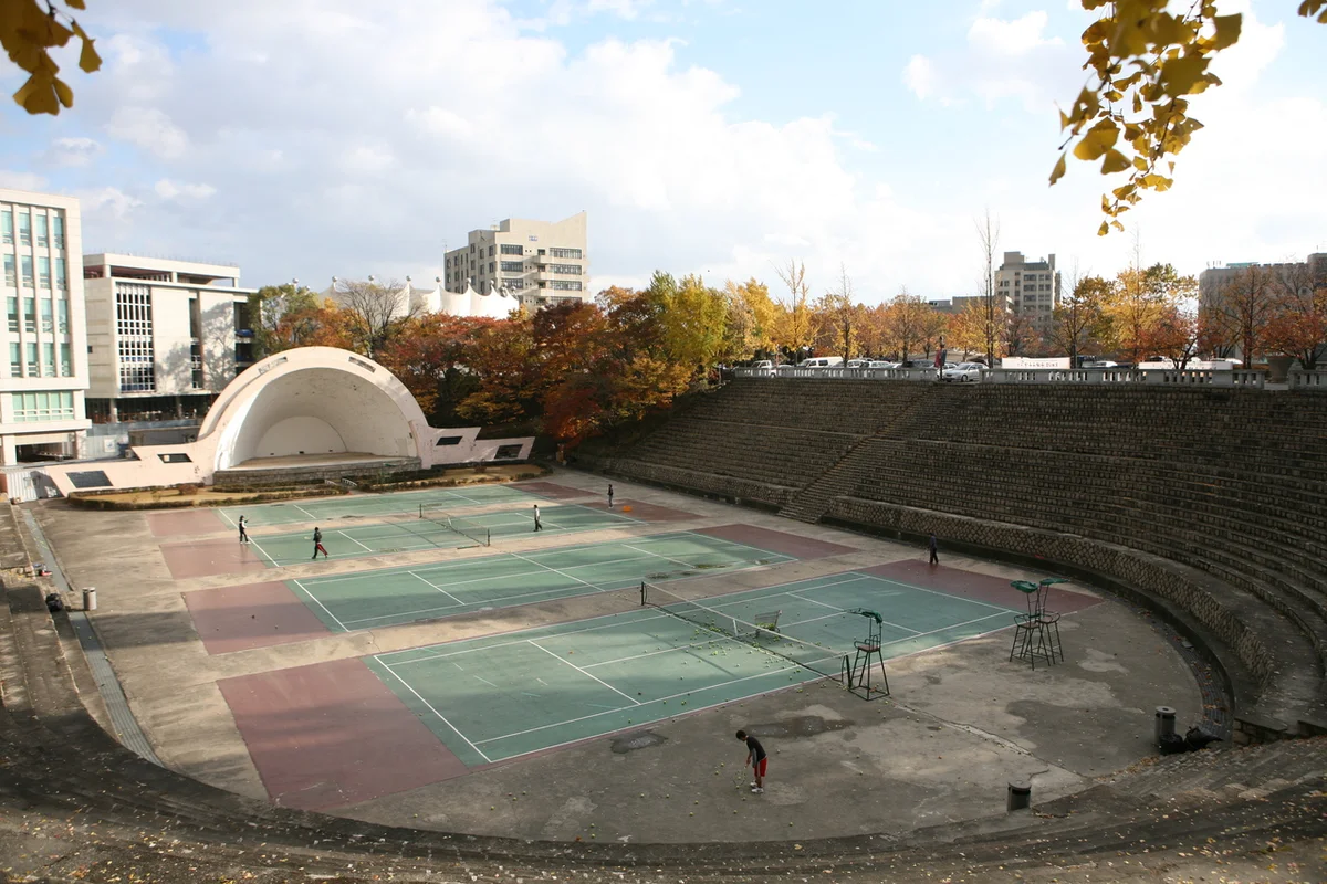 경희대학교 - 서울벚꽃 여행