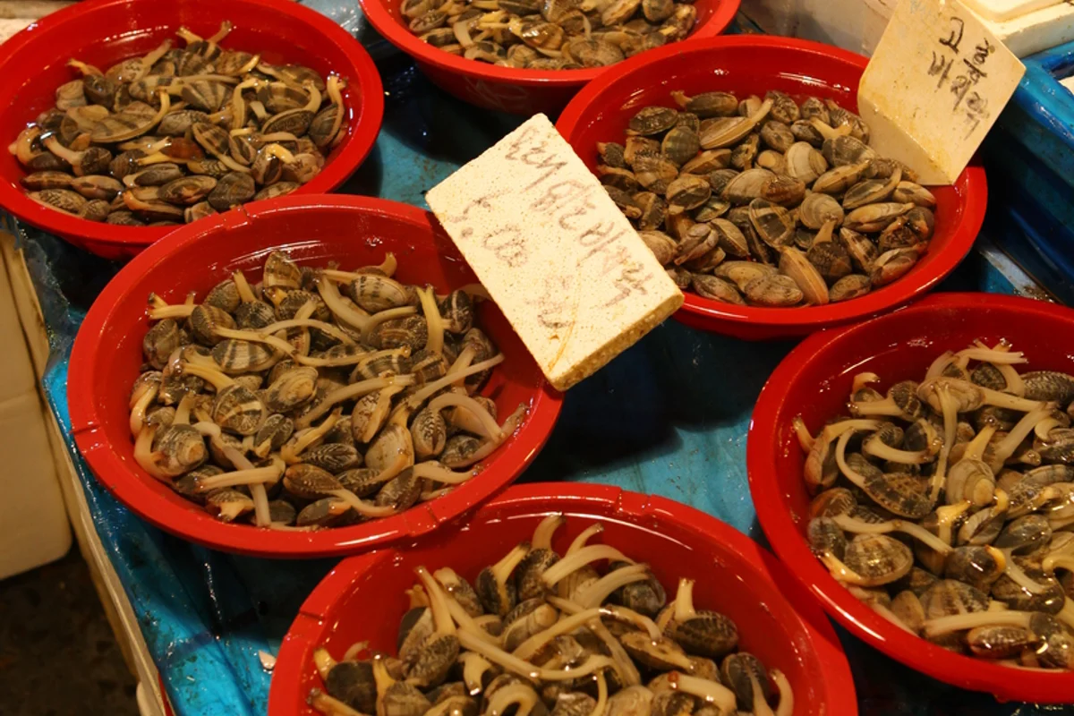 노량진수산물도매시장 - 노량진벚꽃 여행