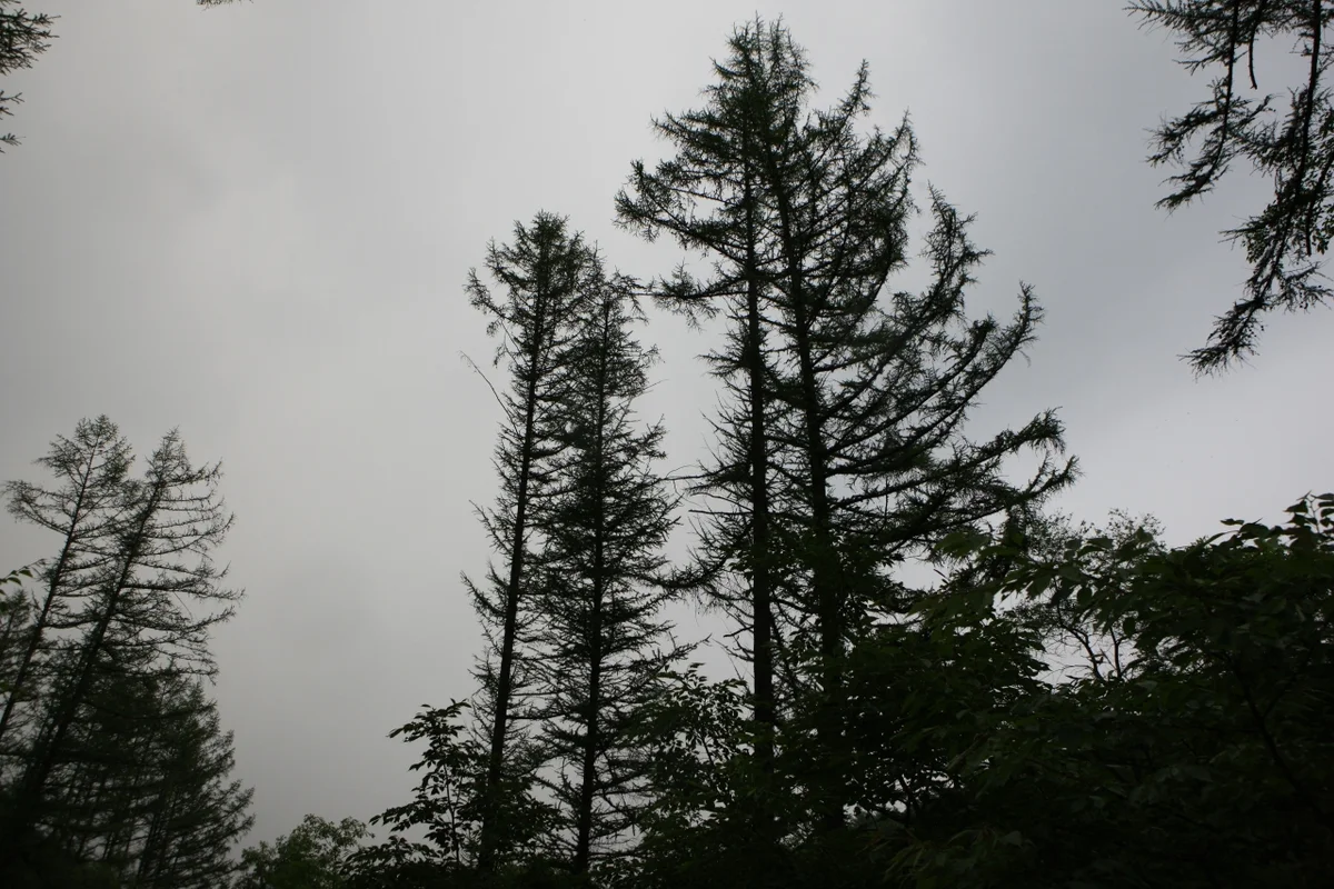 제이드가든 - 남이섬 여행