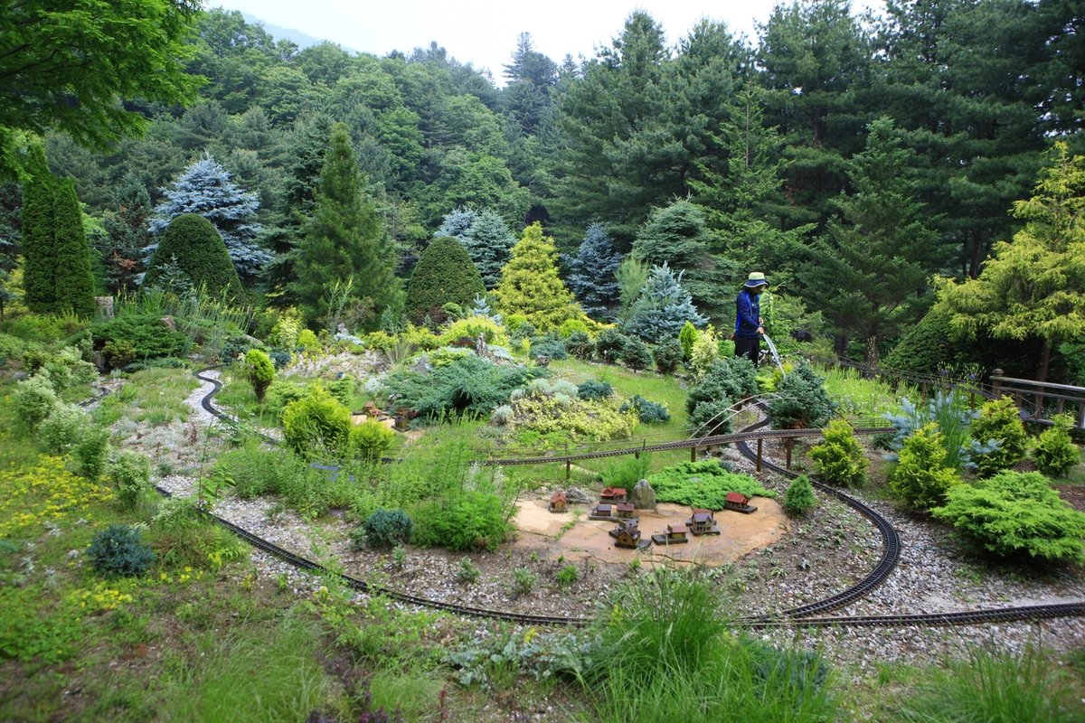 아침고요수목원 - 6월축제 여행