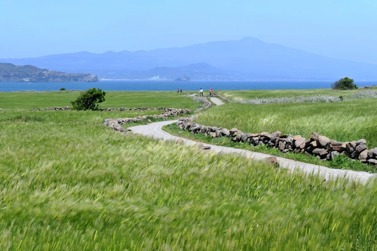 남포동 봄 축제, 활기찬 2026년 부산 여행 추천 5곳