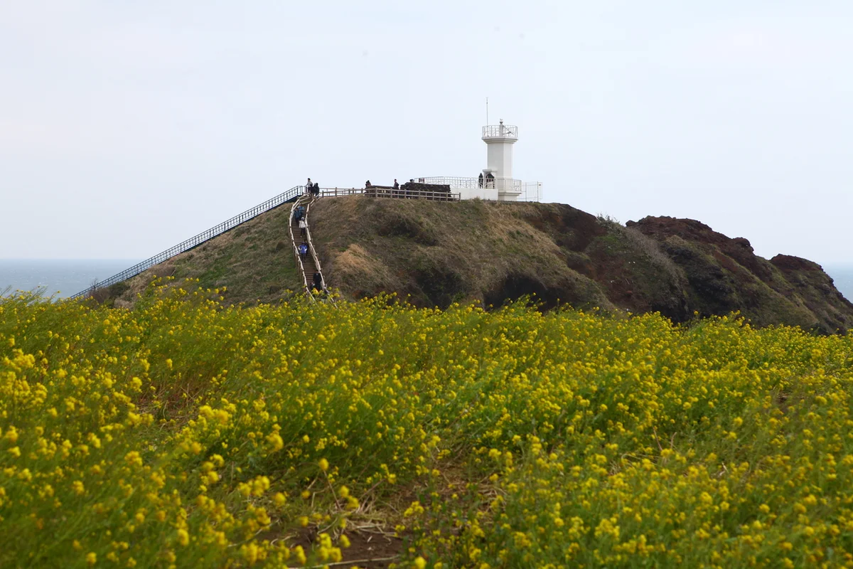 섭지코지 - 제주여행 여행