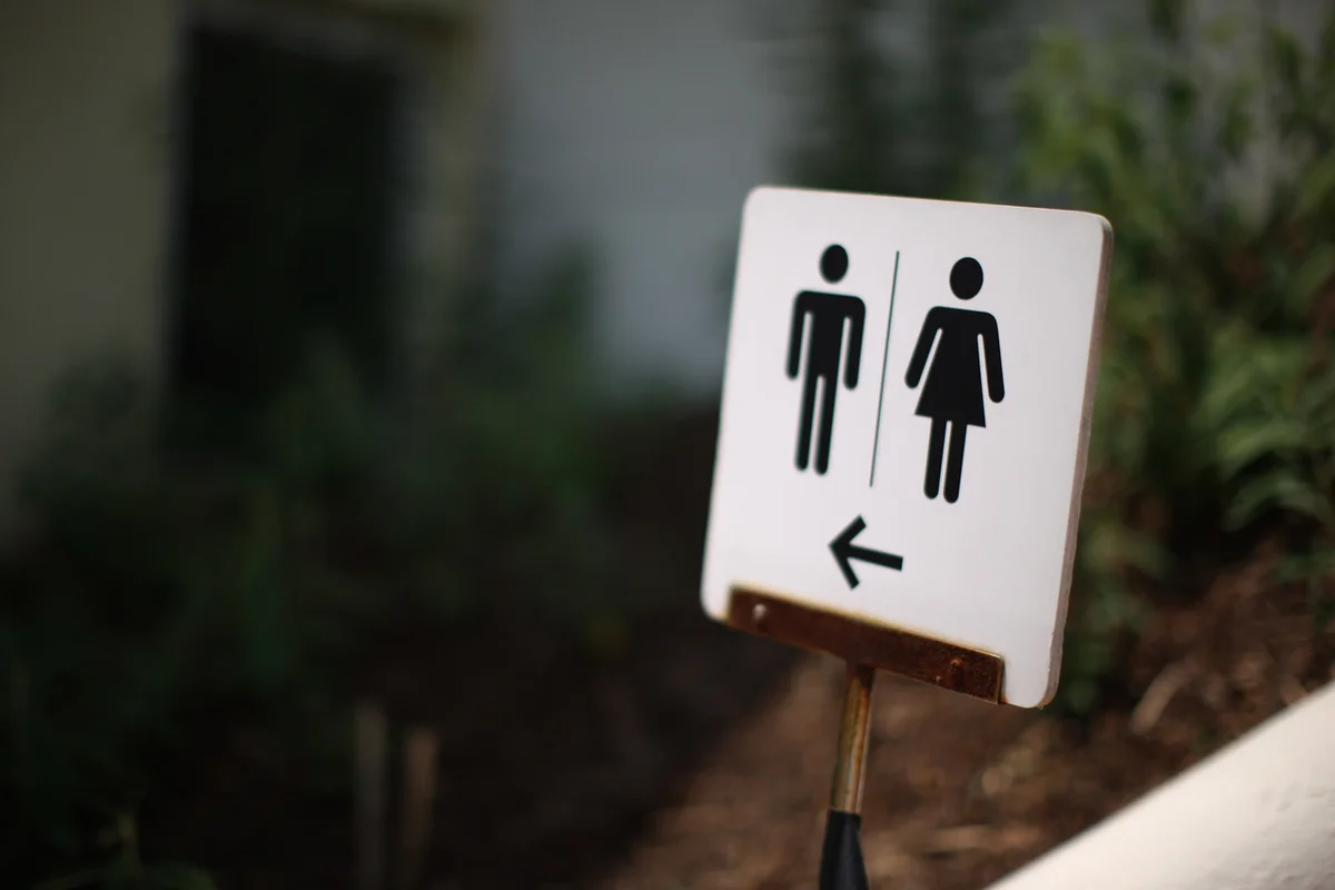 쁘띠프랑스 수목원 2026 가평 여행지 추천 5곳: 봄맞이 완벽 코스