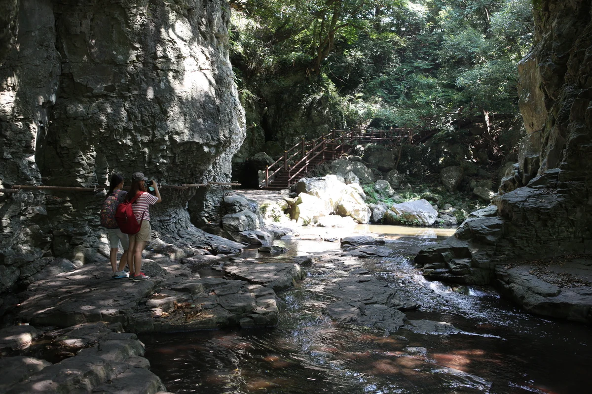 안덕 드라이브 (출처 : 한국관광공사)