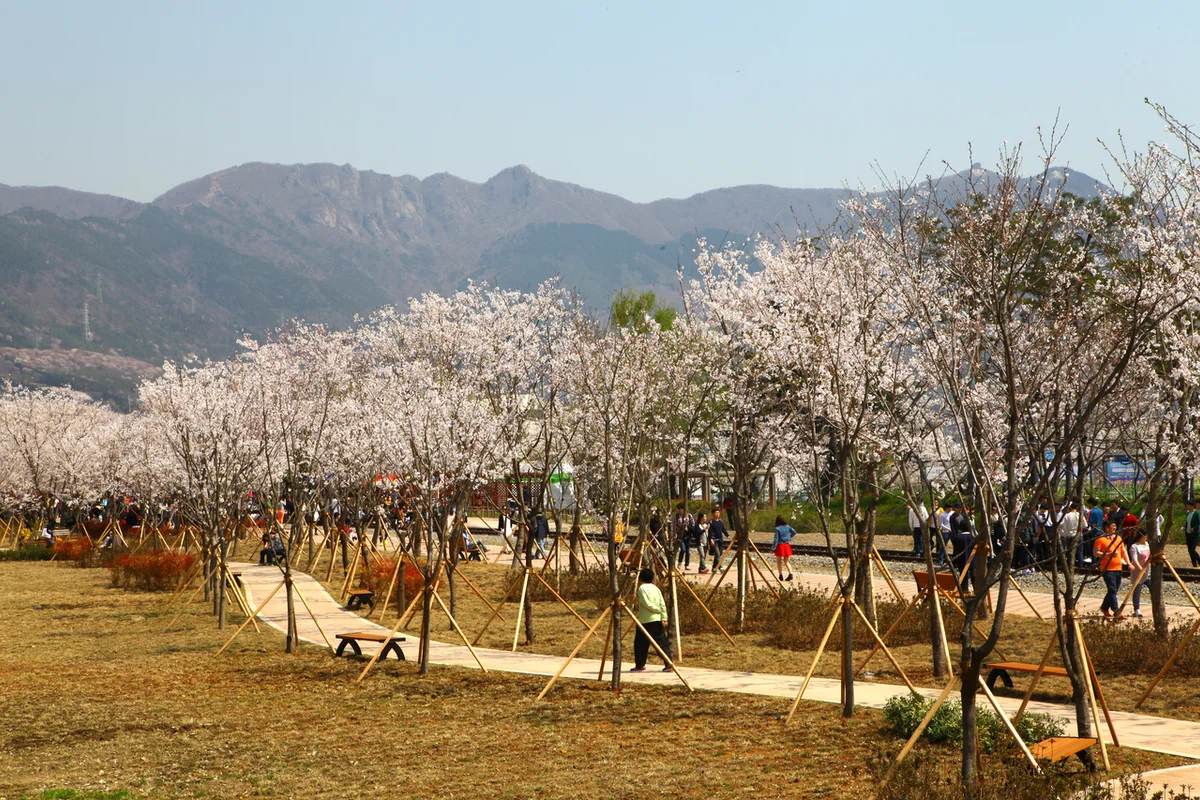 창원 숙소 BEST 5, 2026 봄 여행을 위한 완벽 가이드