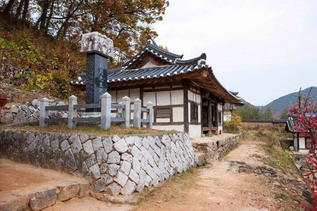 로즈뉴스 - 대정 여행