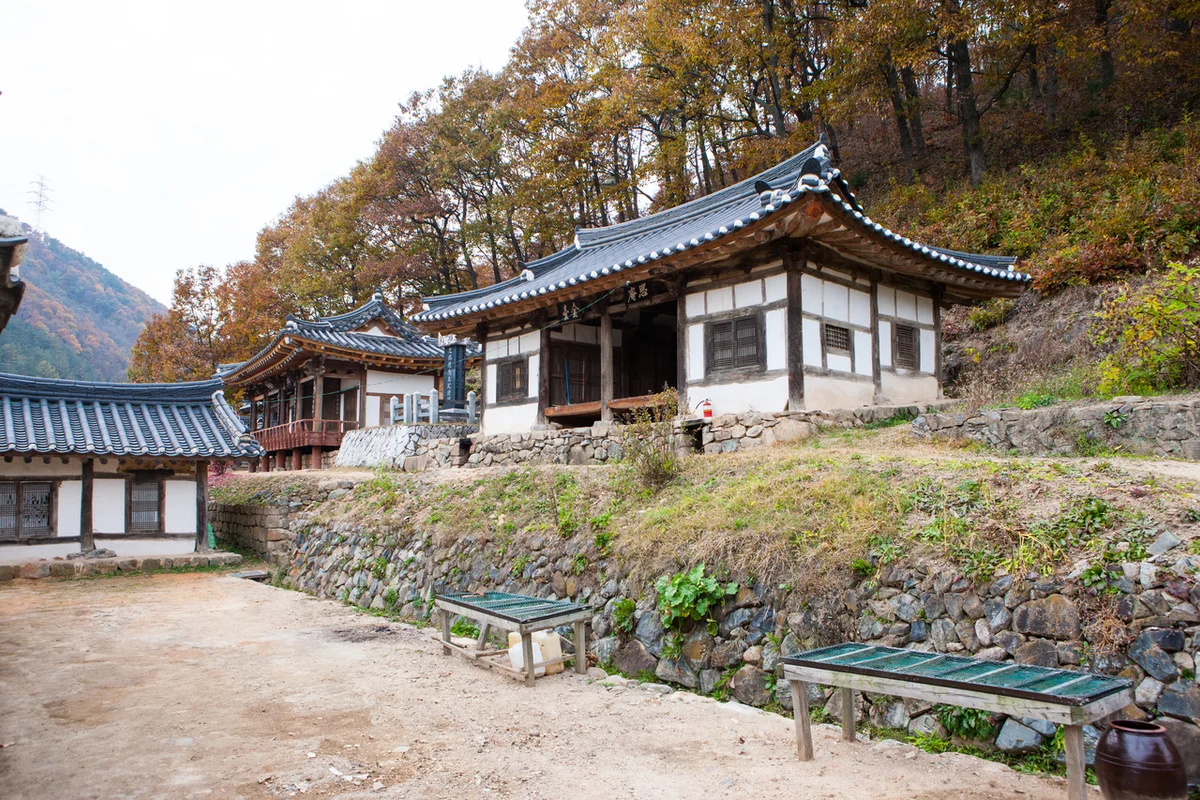 황금대추농장 - 대정 여행