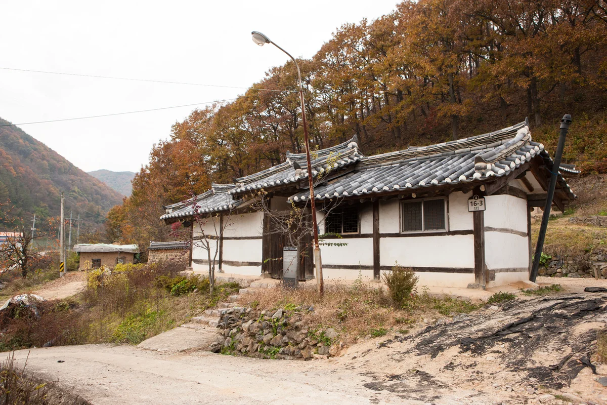 한밭수목원 - 대정 여행