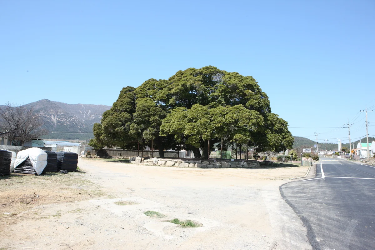 웅진플레이도시 - 삼산물놀이 여행