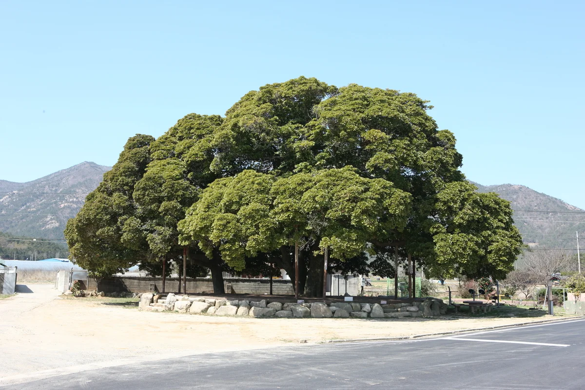삼산월드체육관 - 삼산물놀이 여행