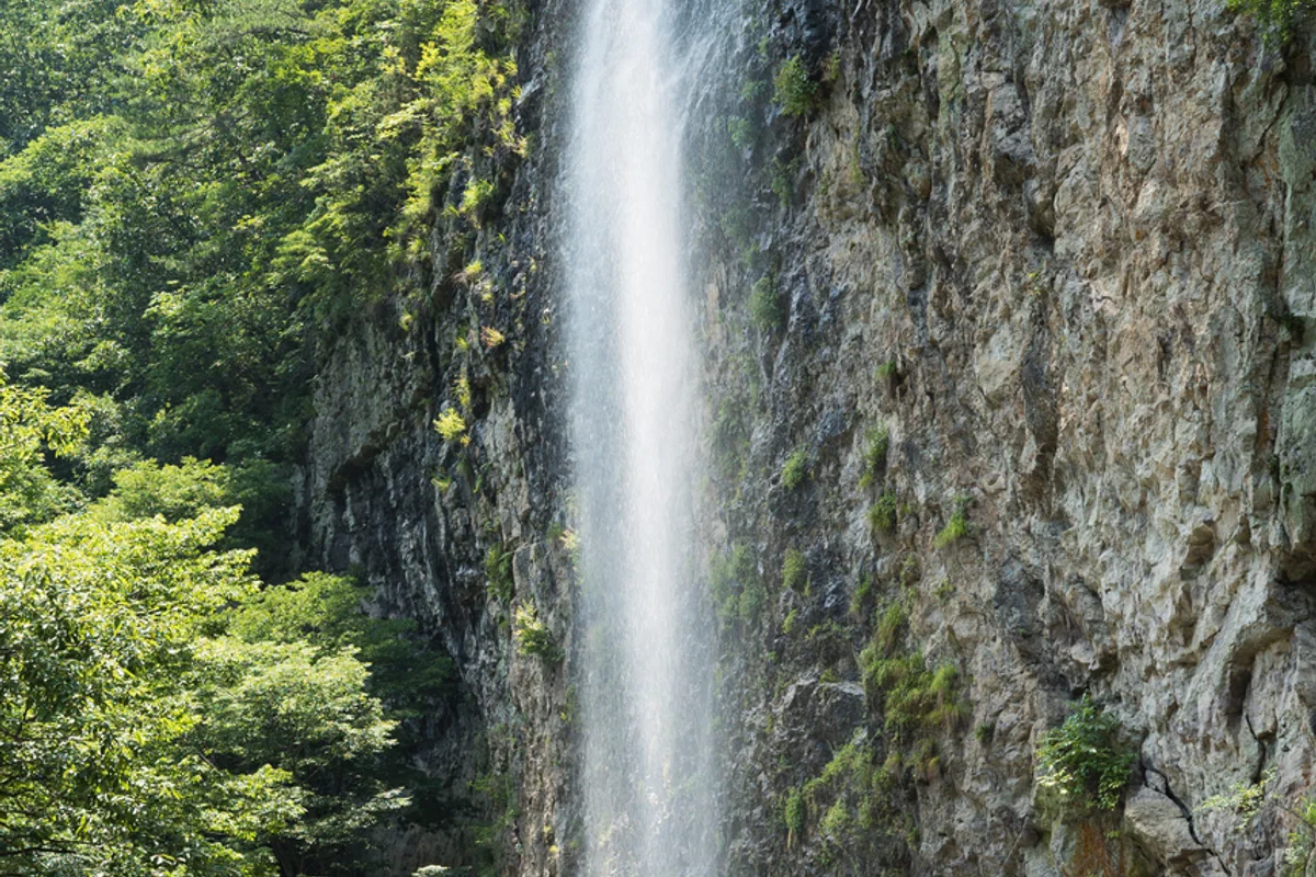강천산군립공원 - 순창벚꽃 여행
