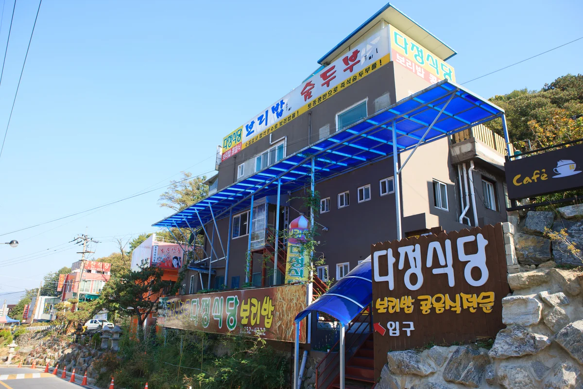 보문산 - 대전 벚꽃 여행