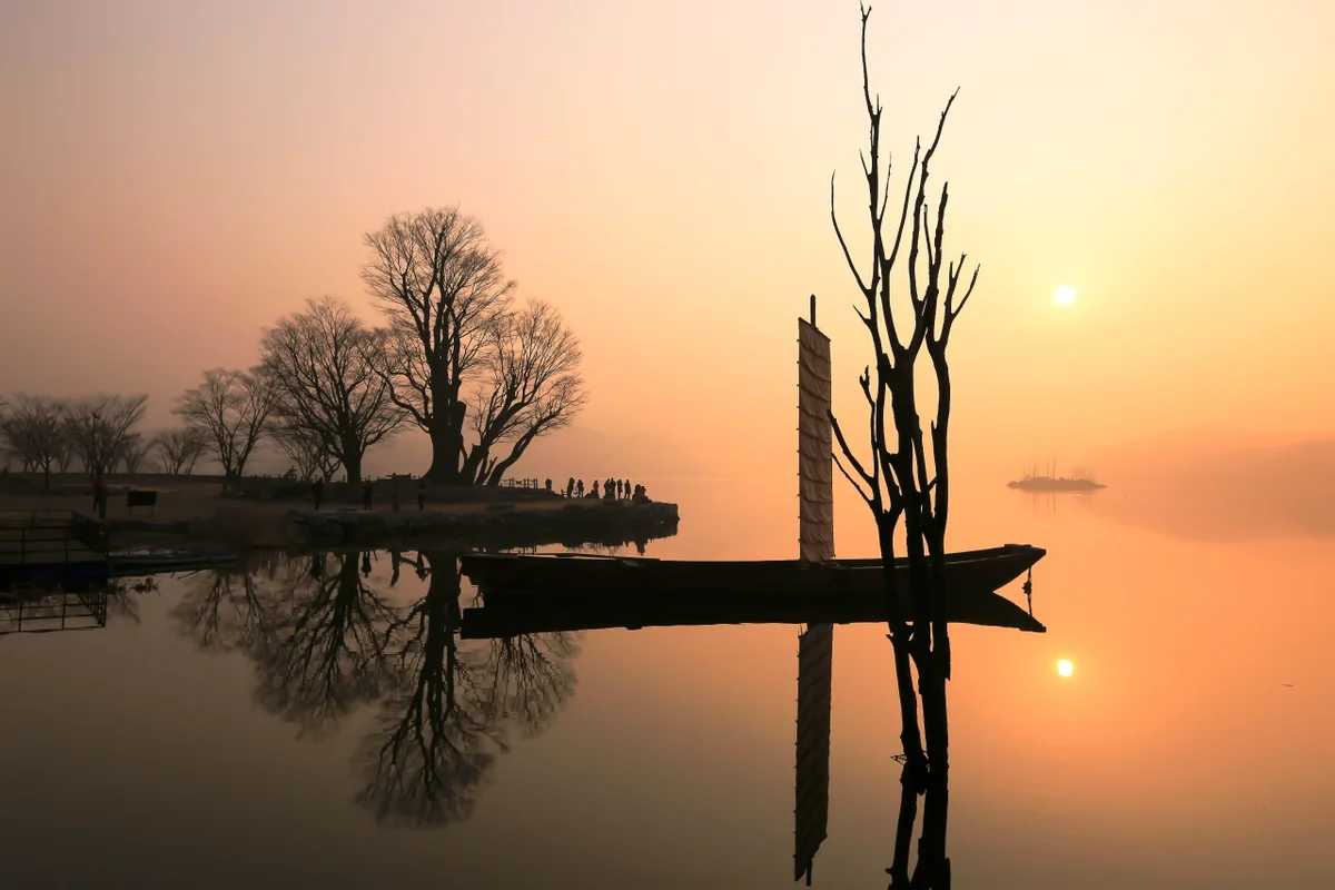 2026 두물머리 벚꽃, 3월 마지막 주 개화 소식과 함께 떠나는 봄맞이 명소 6곳