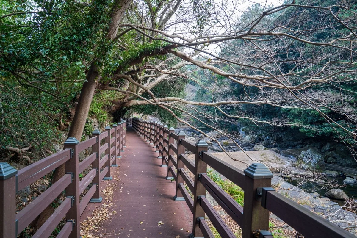백석탄가는길치유농장 - 안덕드라이브 여행