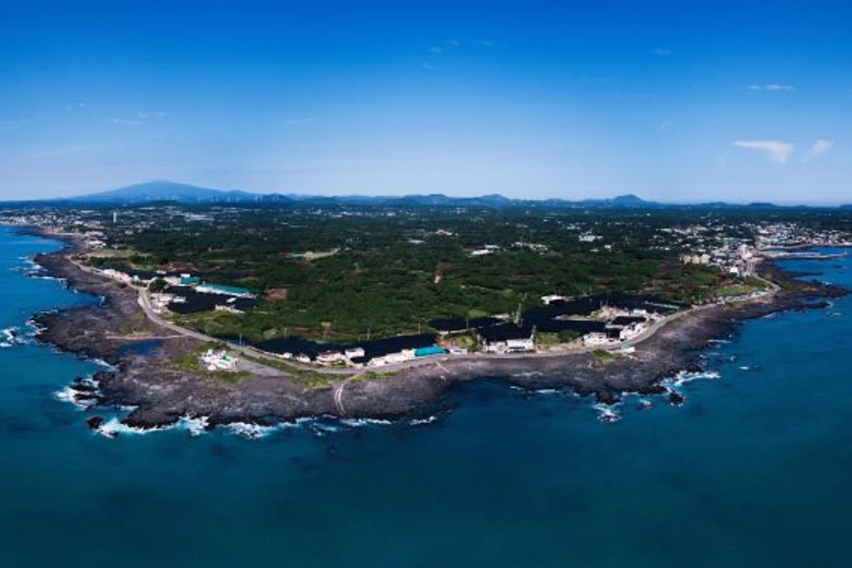 세화민속오일시장 - 제주여행 여행