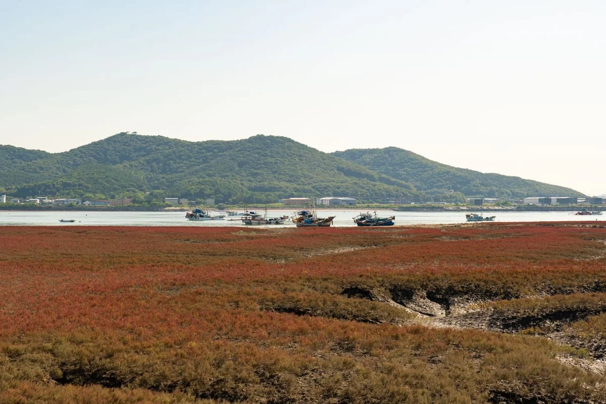 강화도 아기랑 가볼만한곳, 2026 봄 가족 나들이 추천 5곳