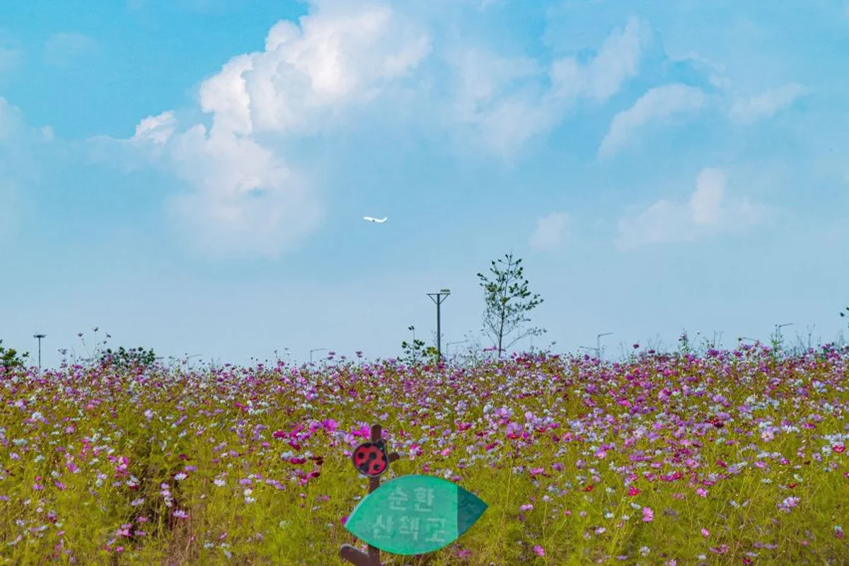 계양 봄 가볼만한곳, 2026년 놓칠 수 없는 완벽 여행 코스 6곳