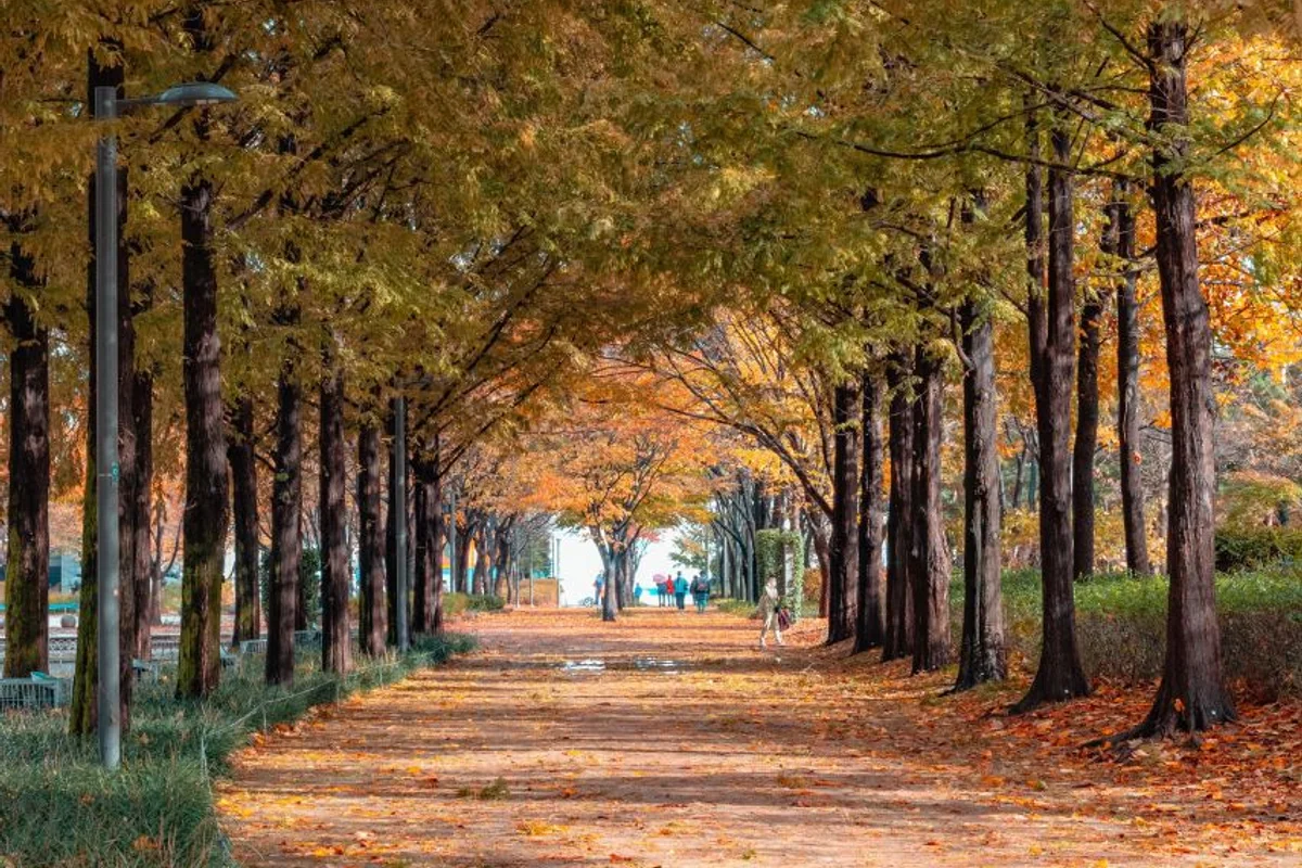 서울숲 - 성동구여행 여행
