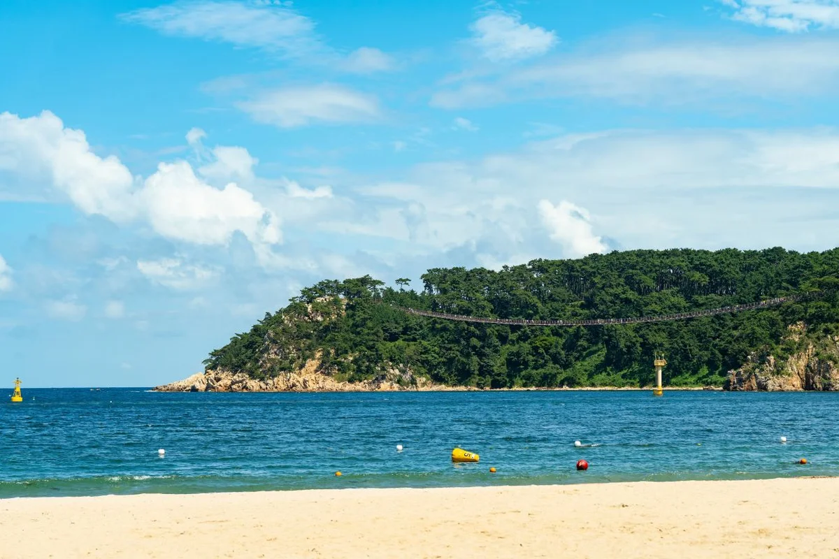 2026 일산해수욕장 1박2일, 따스한 봄날의 필수 코스 추천