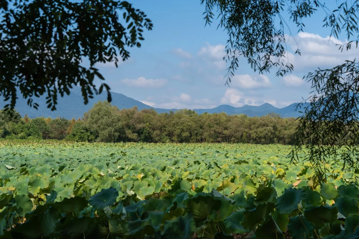 팔당물안개공원 - 경기도 광주 여행