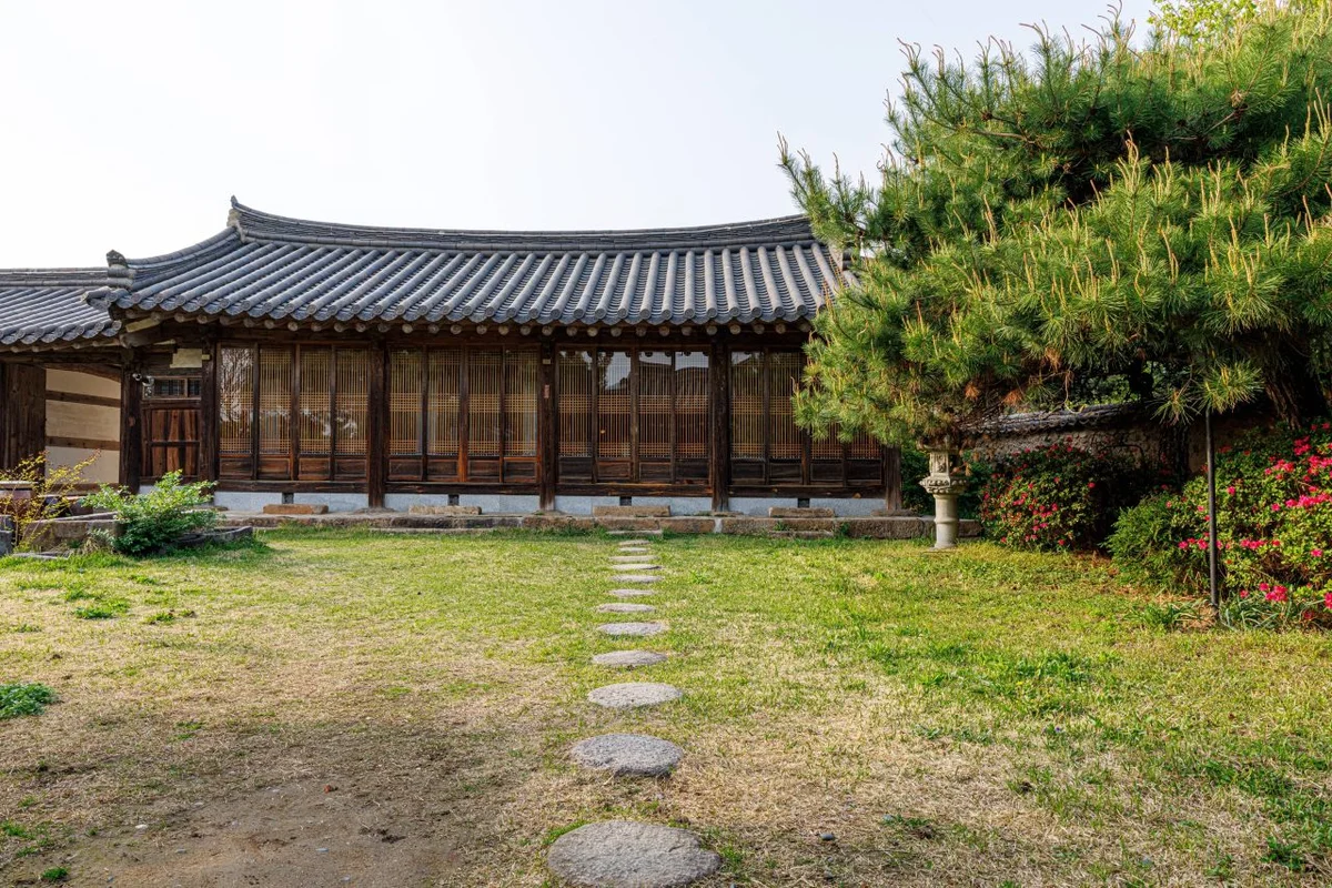 계족산 황토길 - 대전 벚꽃 여행