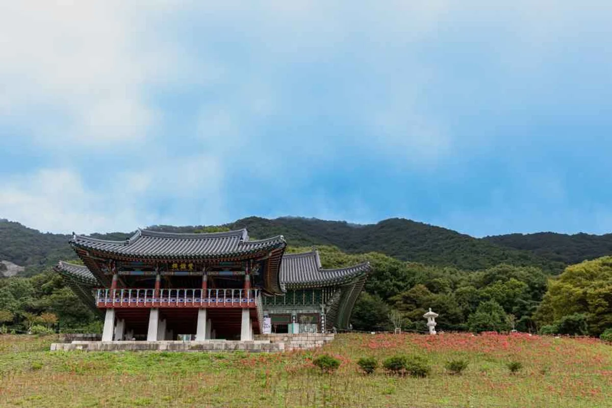 2026 3월 부산 봄나들이 추천, 지금 가야 할 스팟 6