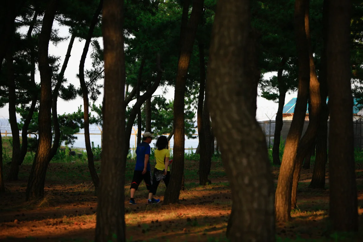 송정 해수욕장 - 5월부산여행 여행