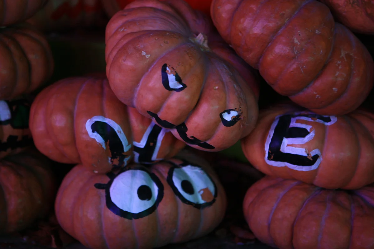 청도프로방스 - 청도여행 여행