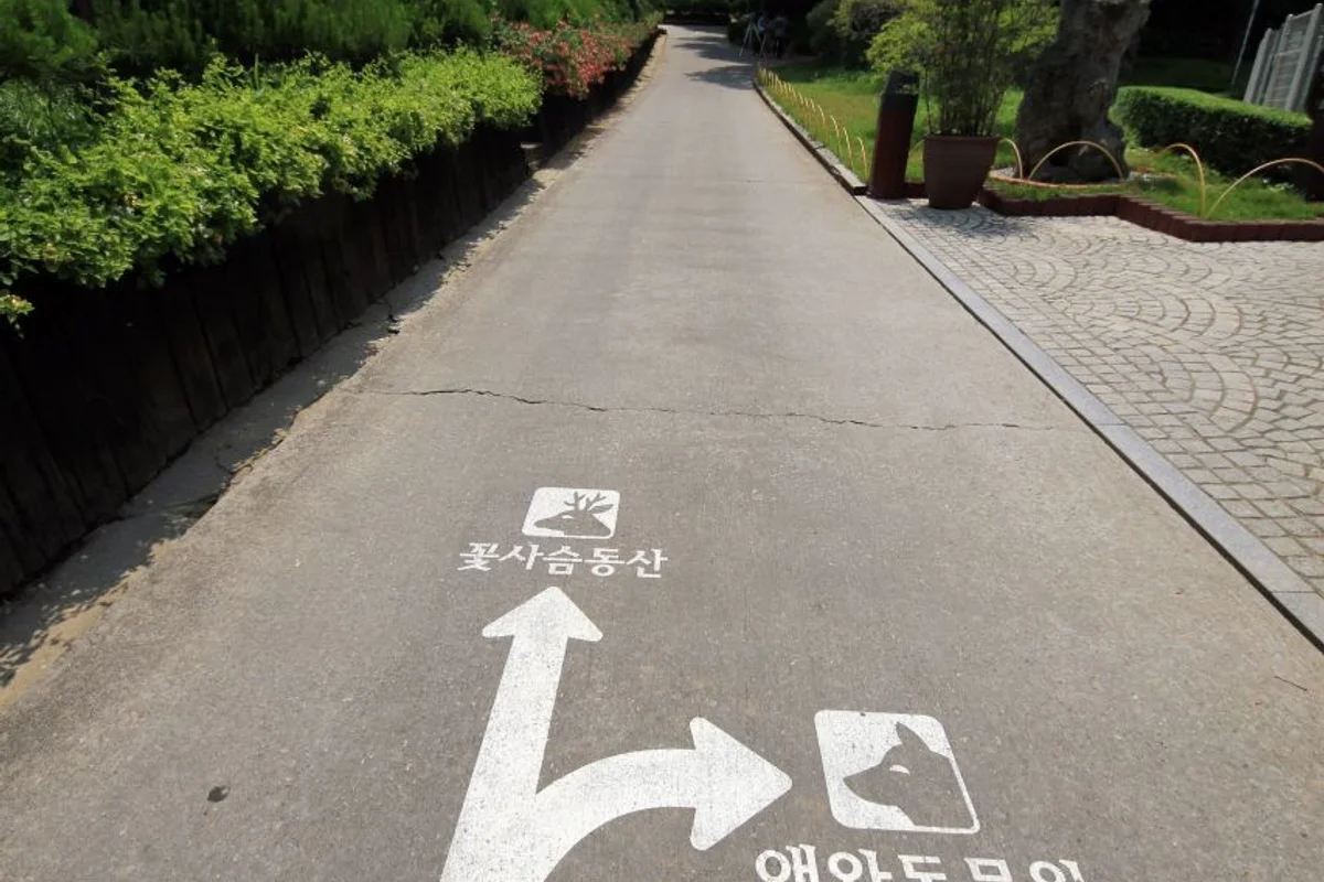 베어트리파크 뷰 좋은 곳 (출처 : 한국관광공사)