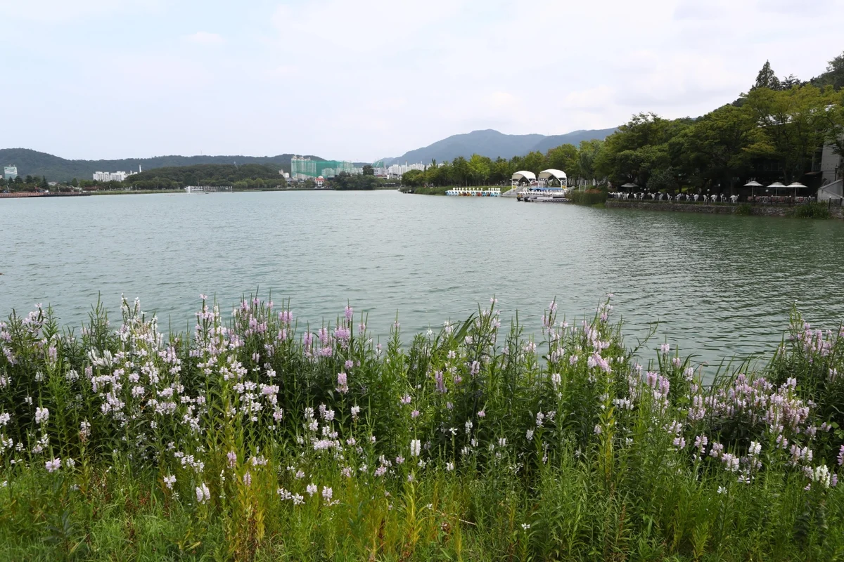 수성못 상화동산 - 수성못 여행