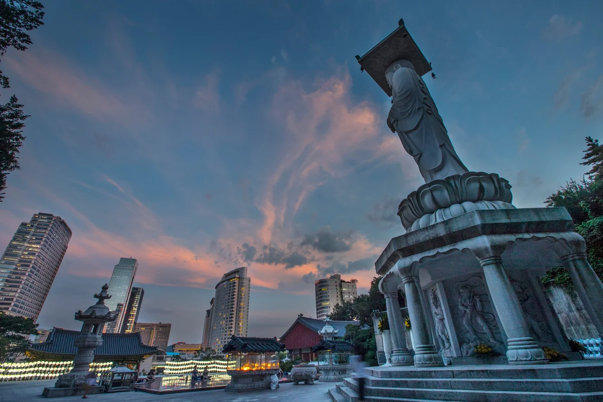 봉은사 - 강남 벚꽃 여행