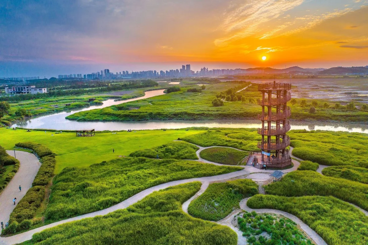 시흥 자전거길, 2026년 봄 놓칠 수 없는 라이딩 코스 5곳