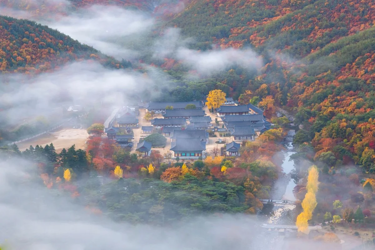 청도 놀거리 (출처 : 한국관광공사)