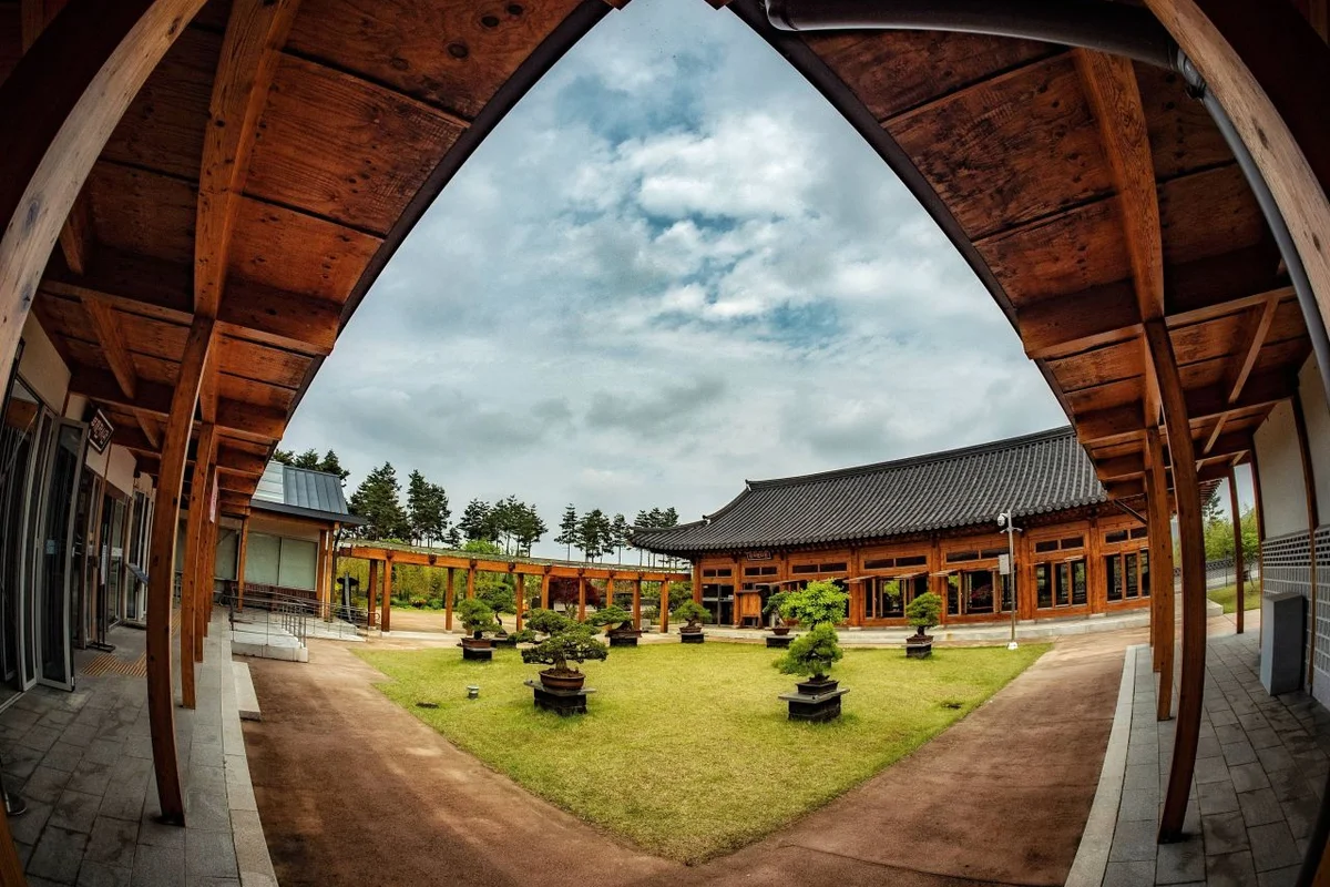 분재원 - 베어트리파크 여행