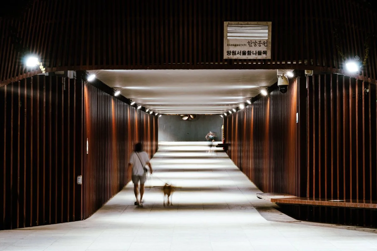 합정 커플 숙소 근처: 망원한강공원 - 합정커플숙소 여행