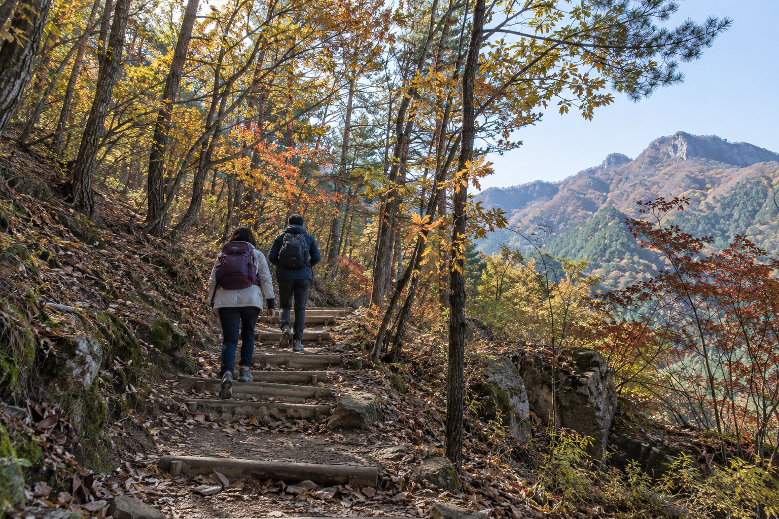 가을 숲길 계단을 오르는 민둥산 등산객